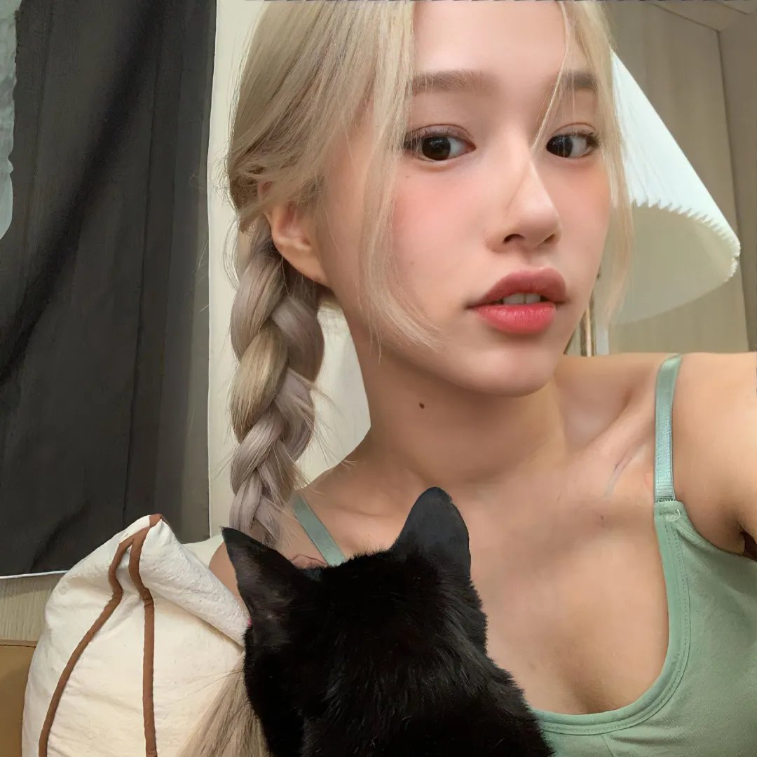 壳
